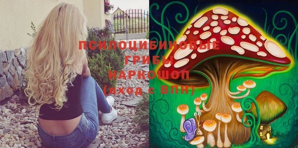 амф Абинск