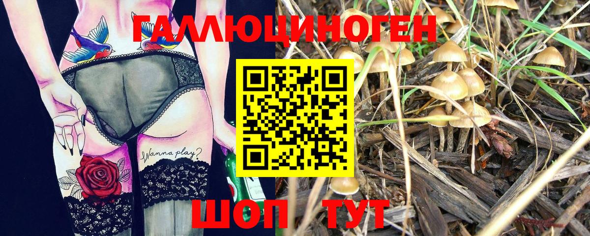 Псилоцибиновые грибы прущие грибы  Псилоцибиновые грибы Cubensis  Вход с VPN  закладка  Советский 