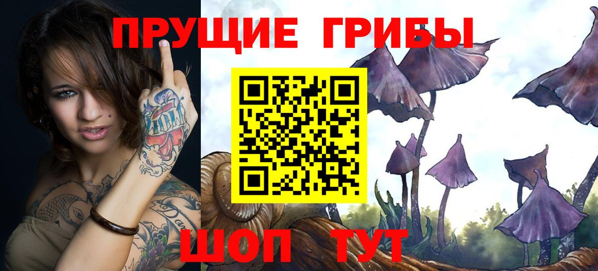 Псилоцибиновые грибы Psilocybe Советский
